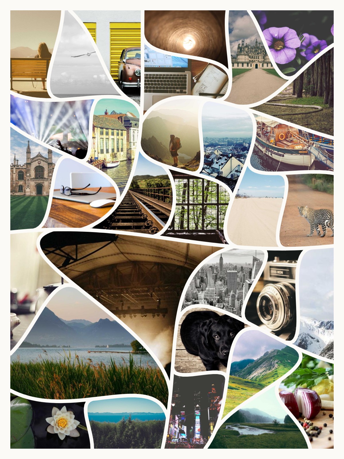 Example graduation collage made with BigCollage