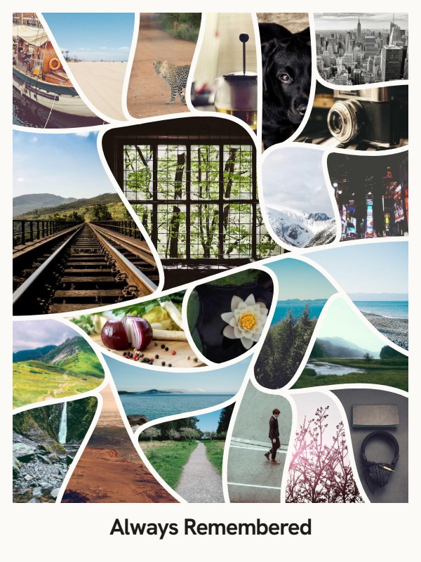 The same photos in the Curves style