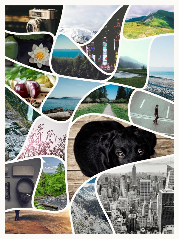 The same photos in the Curves style